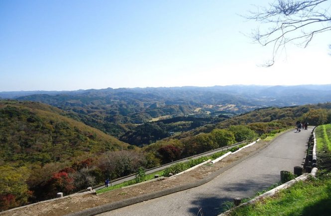 自然の風景